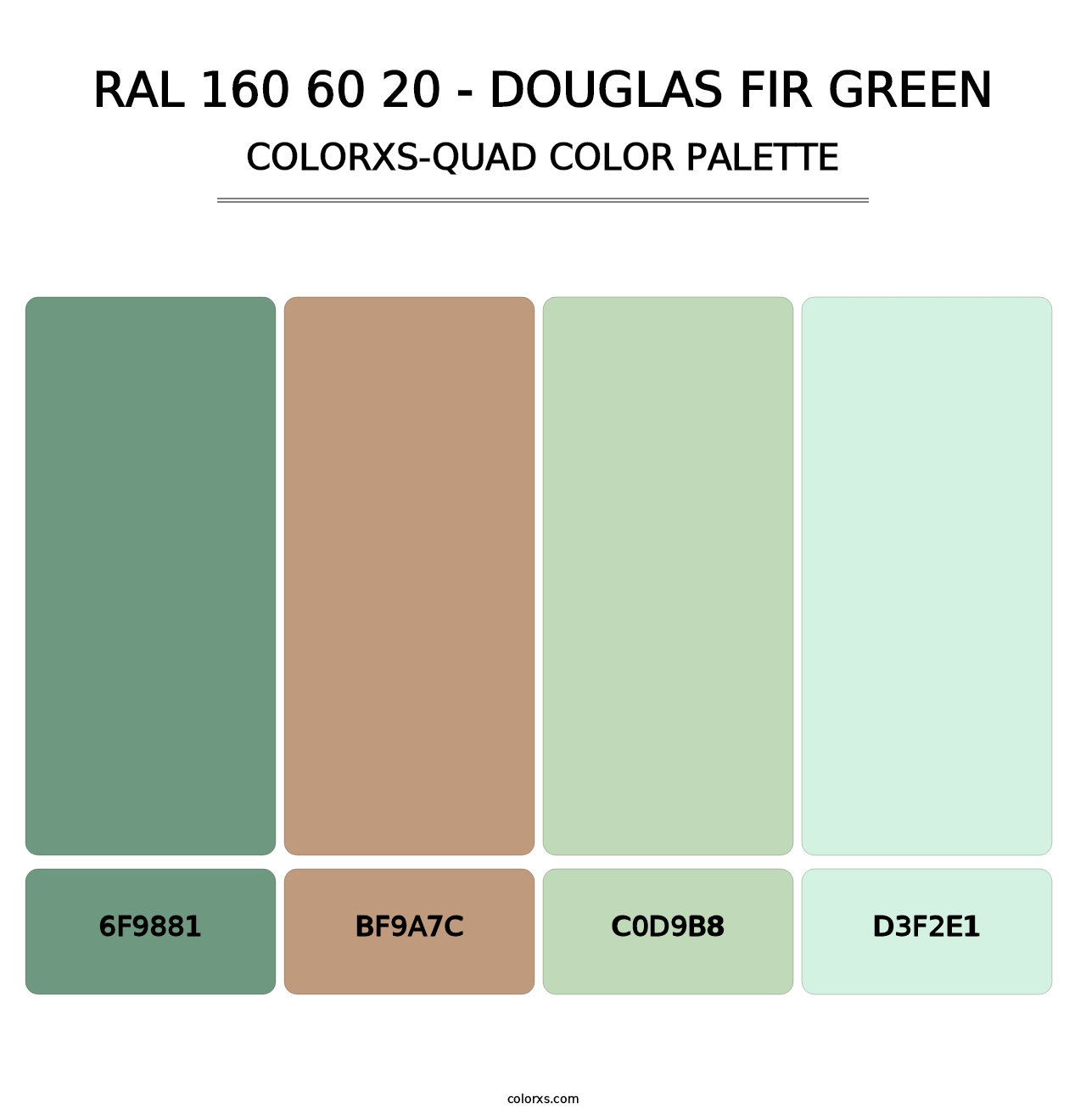 RAL 160 60 20 - Douglas Fir Green - Colorxs Quad Palette