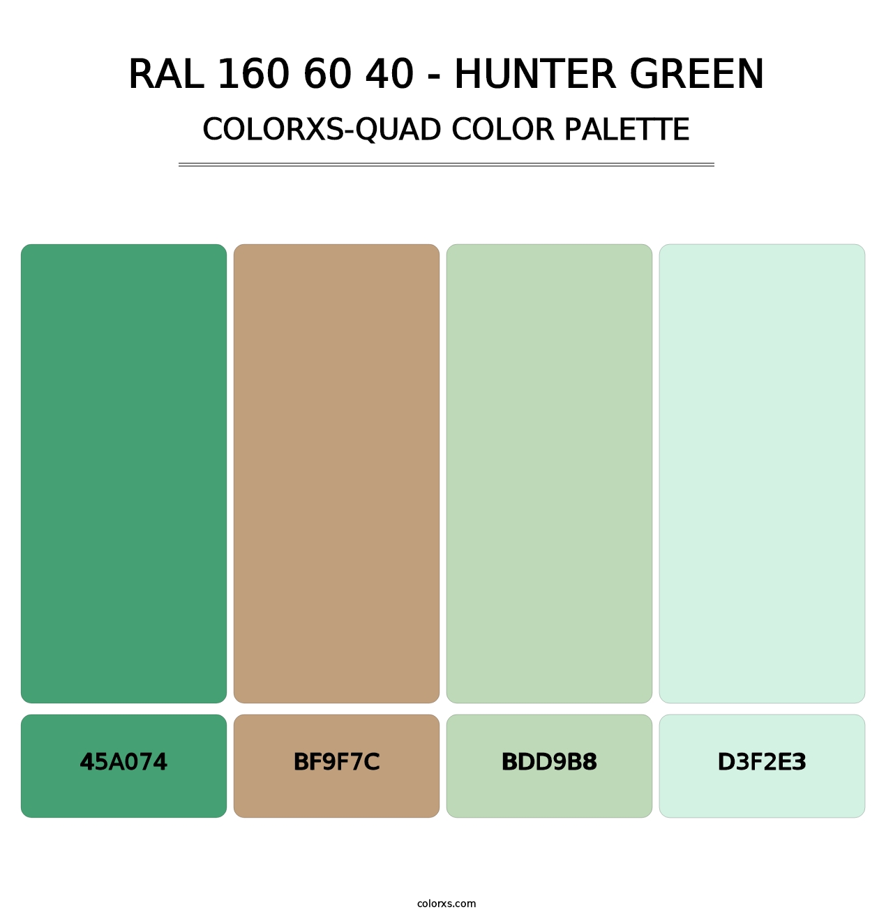 RAL 160 60 40 - Hunter Green - Colorxs Quad Palette