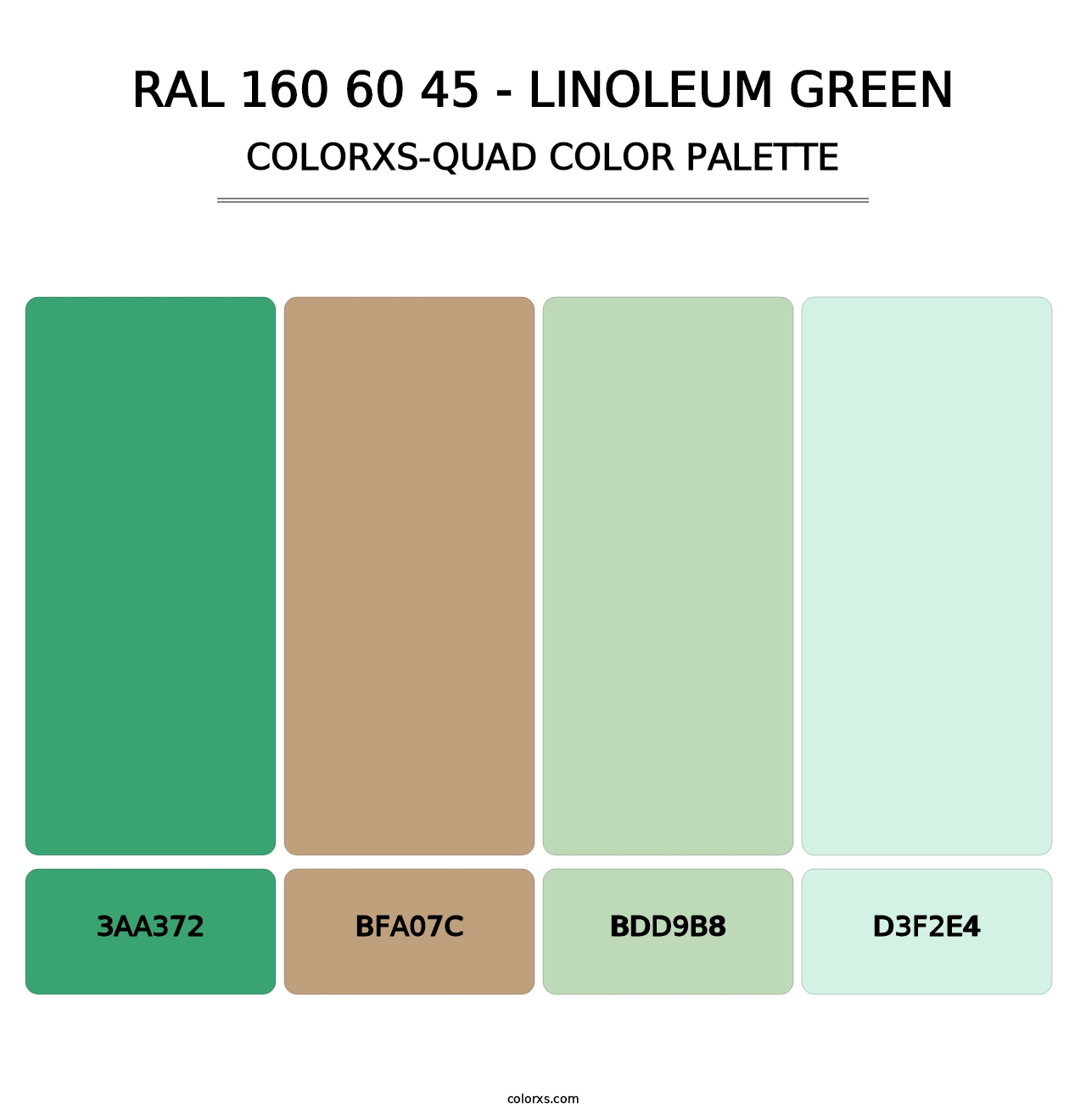 RAL 160 60 45 - Linoleum Green - Colorxs Quad Palette