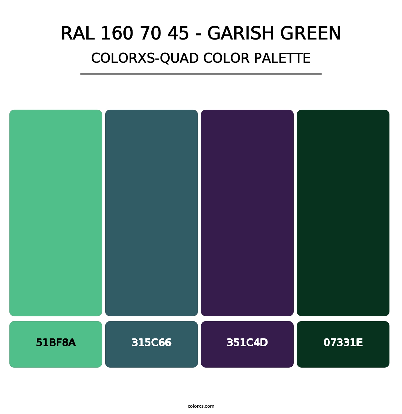 RAL 160 70 45 - Garish Green - Colorxs Quad Palette