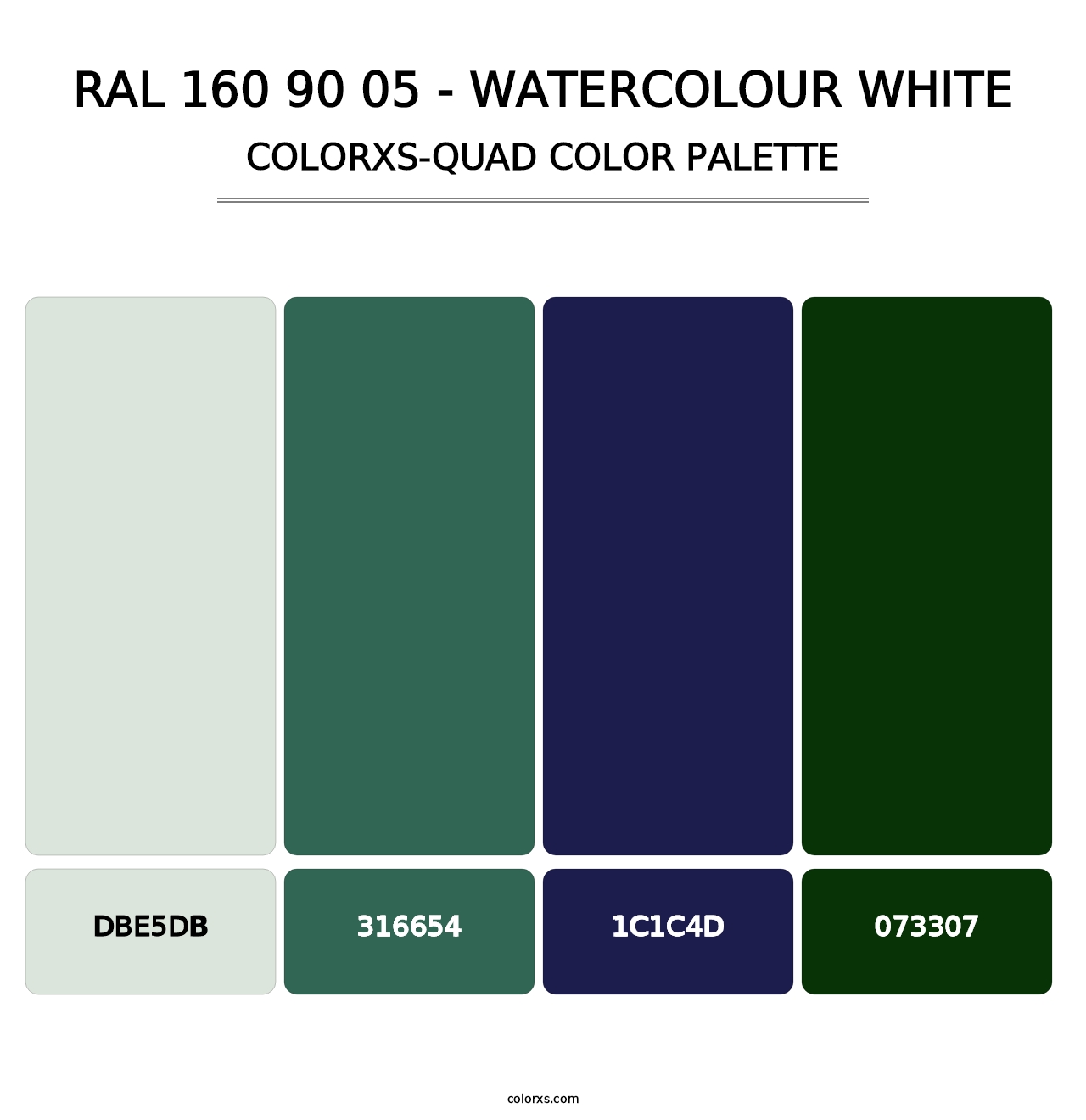 RAL 160 90 05 - Watercolour White - Colorxs Quad Palette
