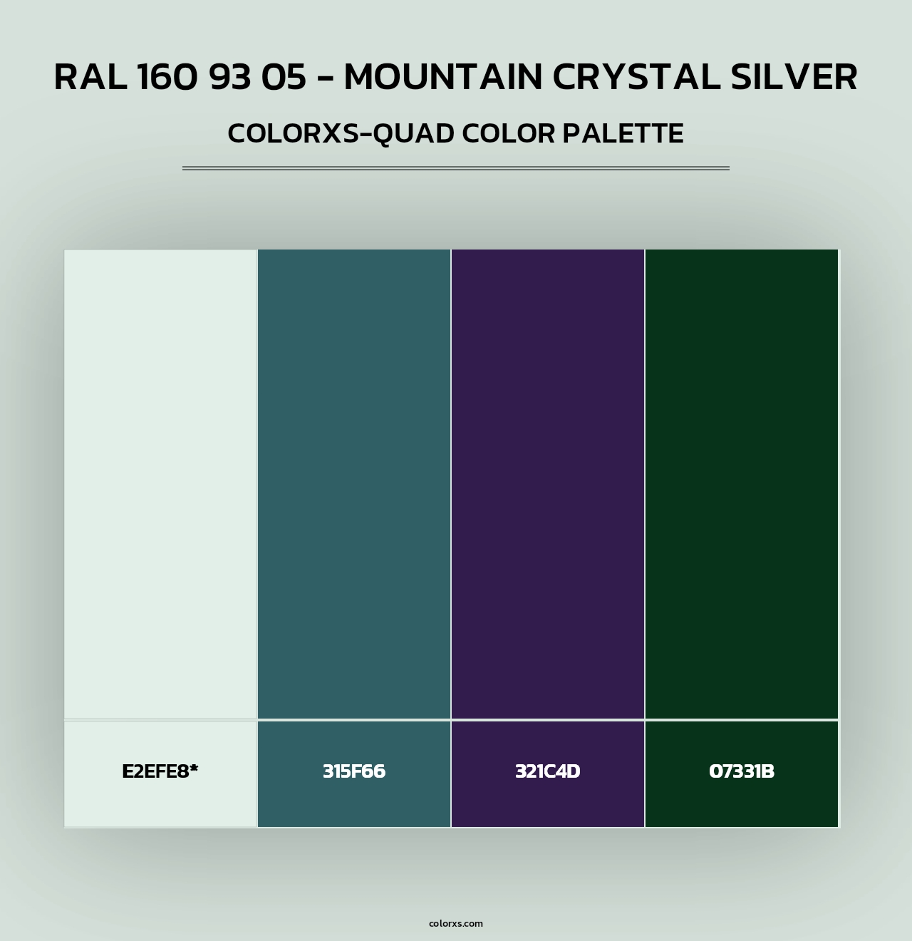 RAL 160 93 05 - Mountain Crystal Silver - Colorxs Quad Palette