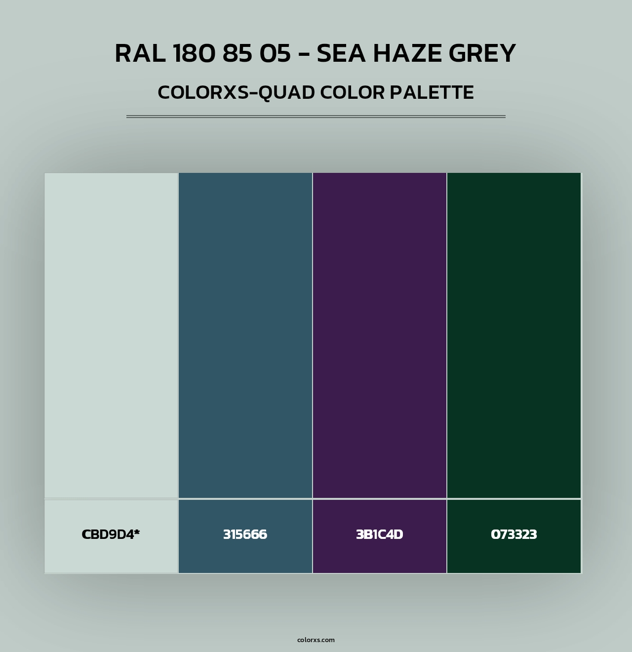 RAL 180 85 05 - Sea Haze Grey - Colorxs Quad Palette