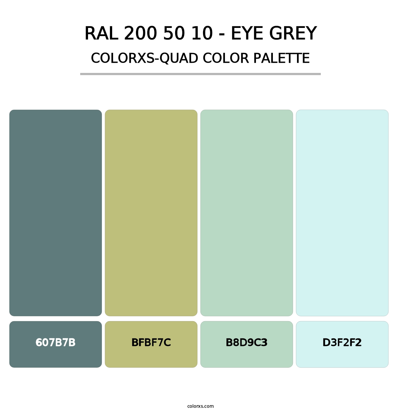 RAL 200 50 10 - Eye Grey - Colorxs Quad Palette