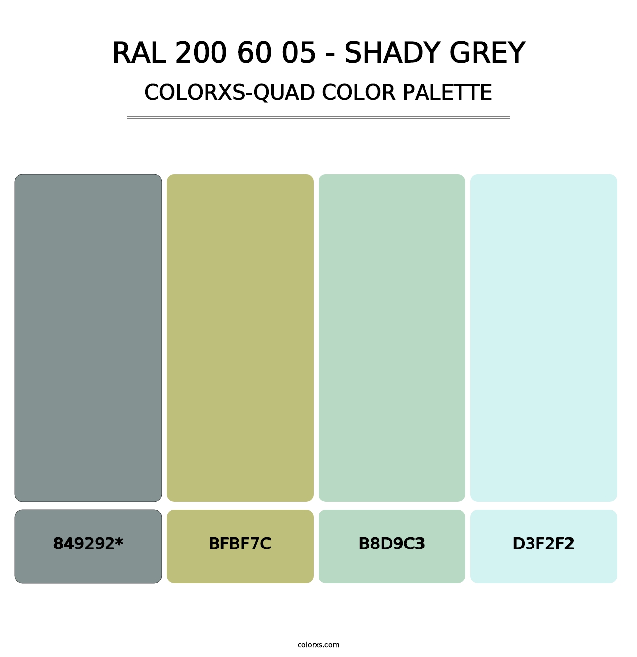 RAL 200 60 05 - Shady Grey - Colorxs Quad Palette