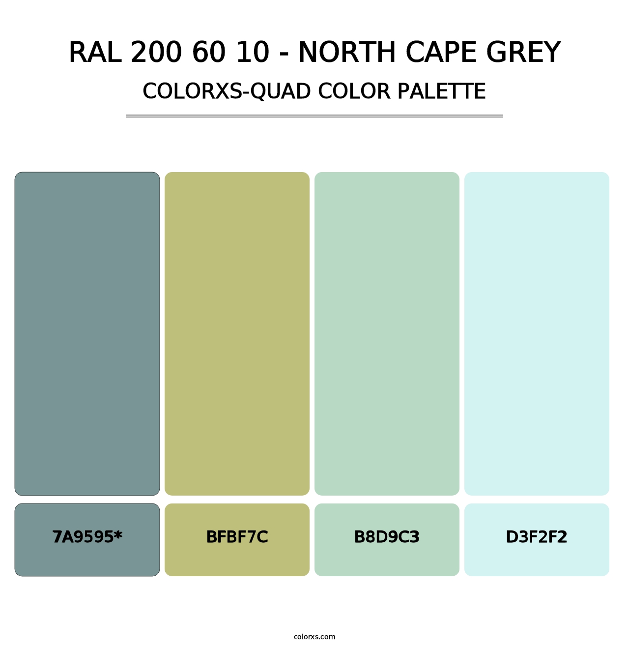 RAL 200 60 10 - North Cape Grey - Colorxs Quad Palette