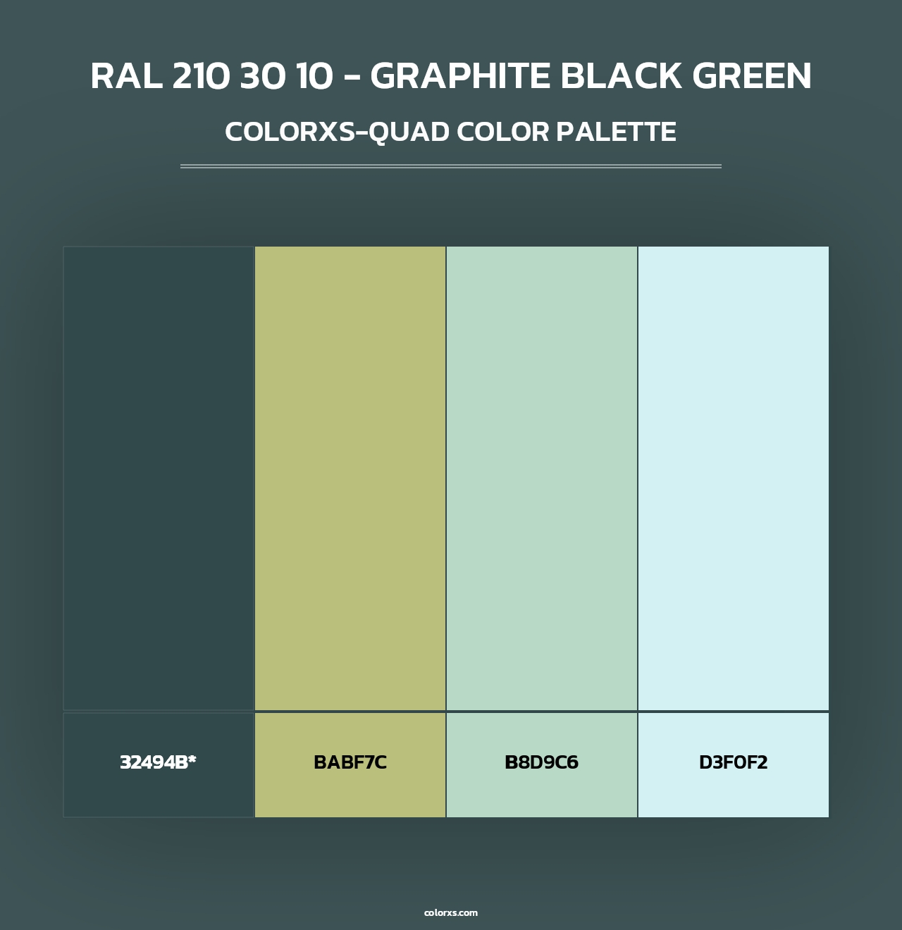 RAL 210 30 10 - Graphite Black Green - Colorxs Quad Palette