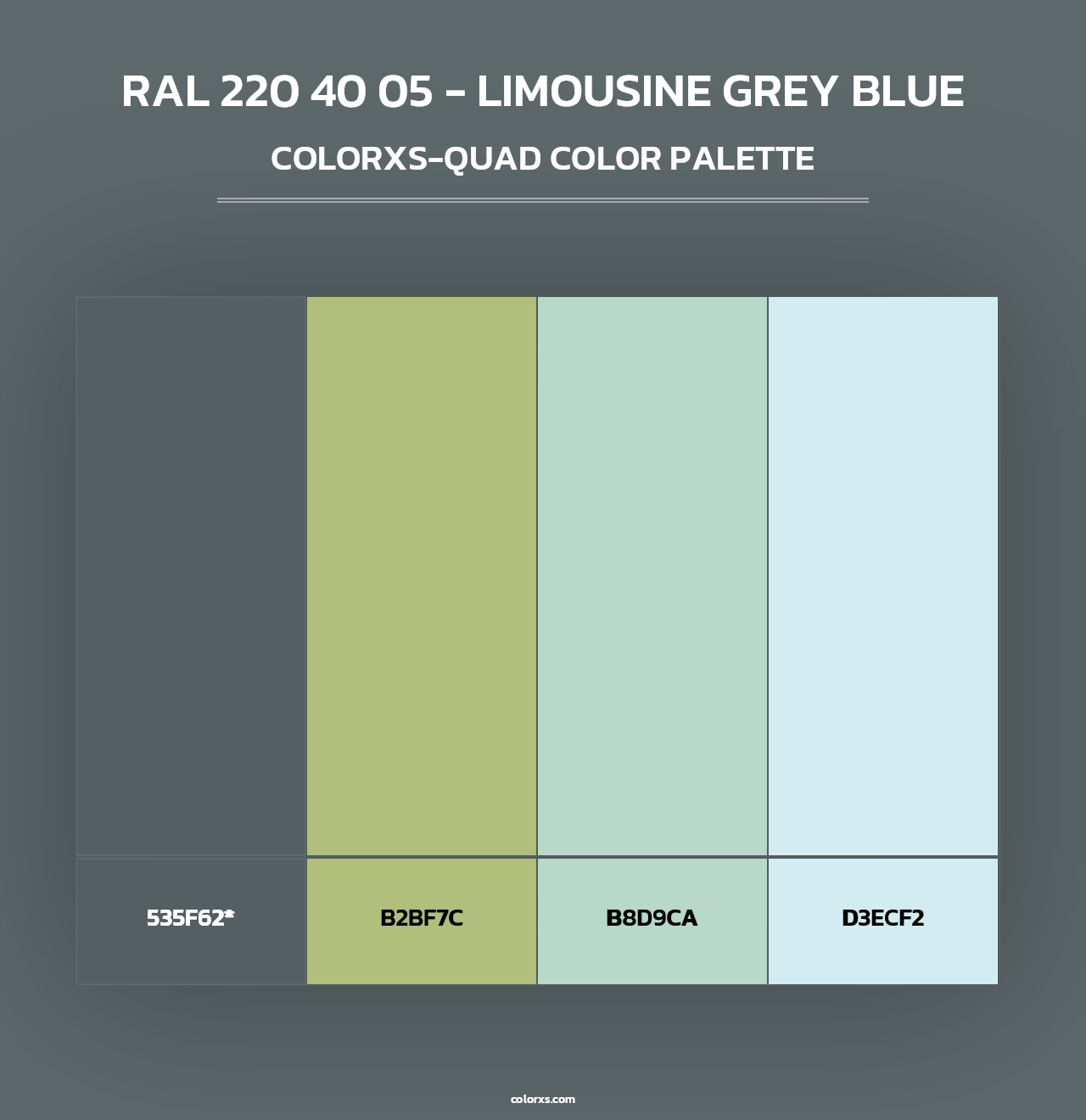RAL 220 40 05 - Limousine Grey Blue - Colorxs Quad Palette