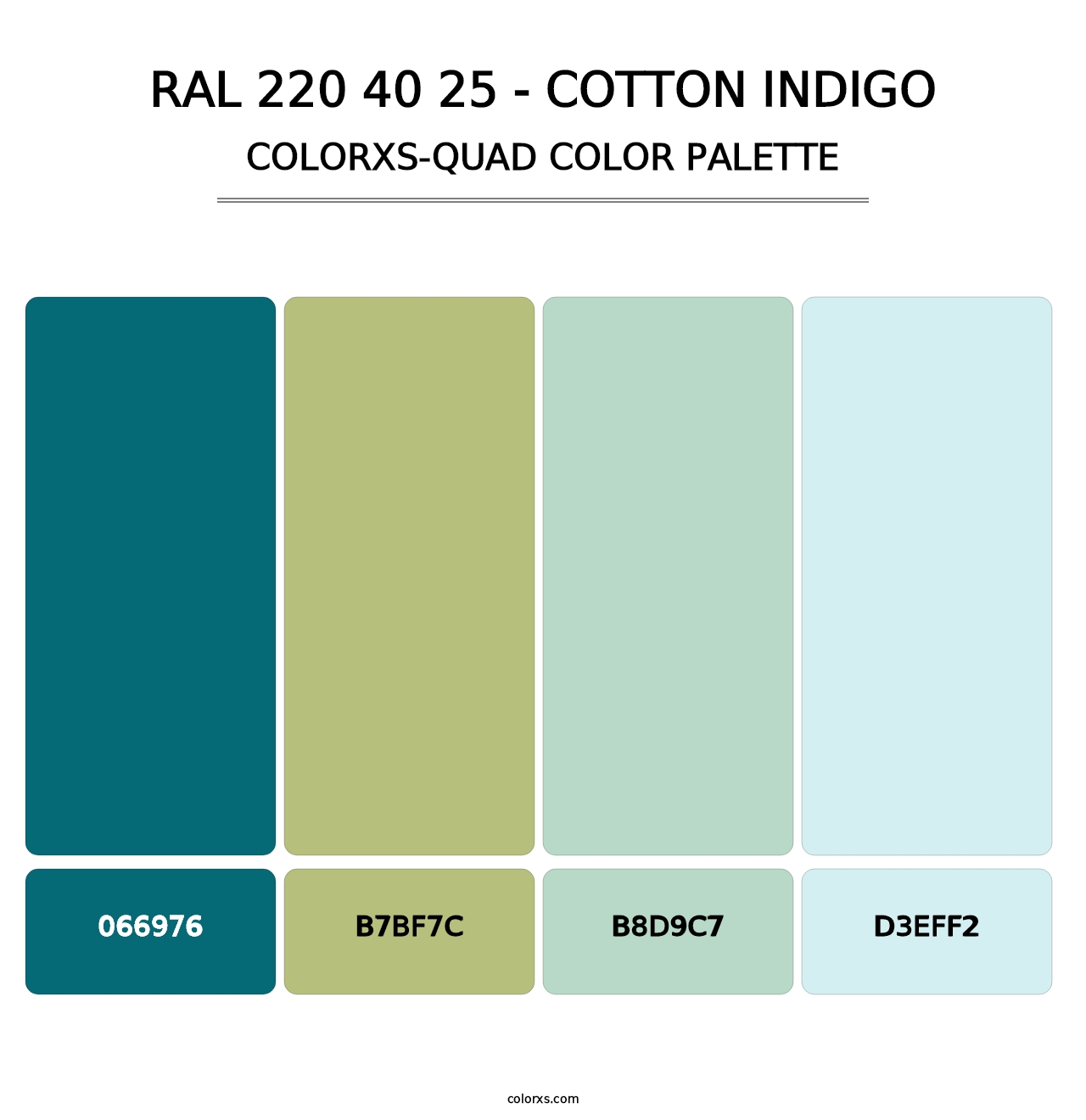 RAL 220 40 25 - Cotton Indigo - Colorxs Quad Palette