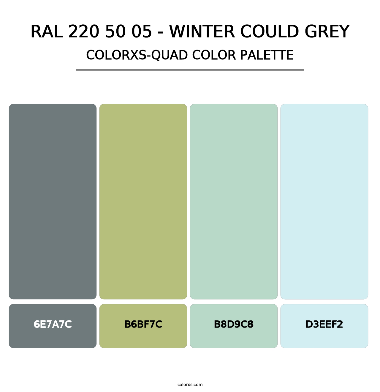 RAL 220 50 05 - Winter Could Grey - Colorxs Quad Palette