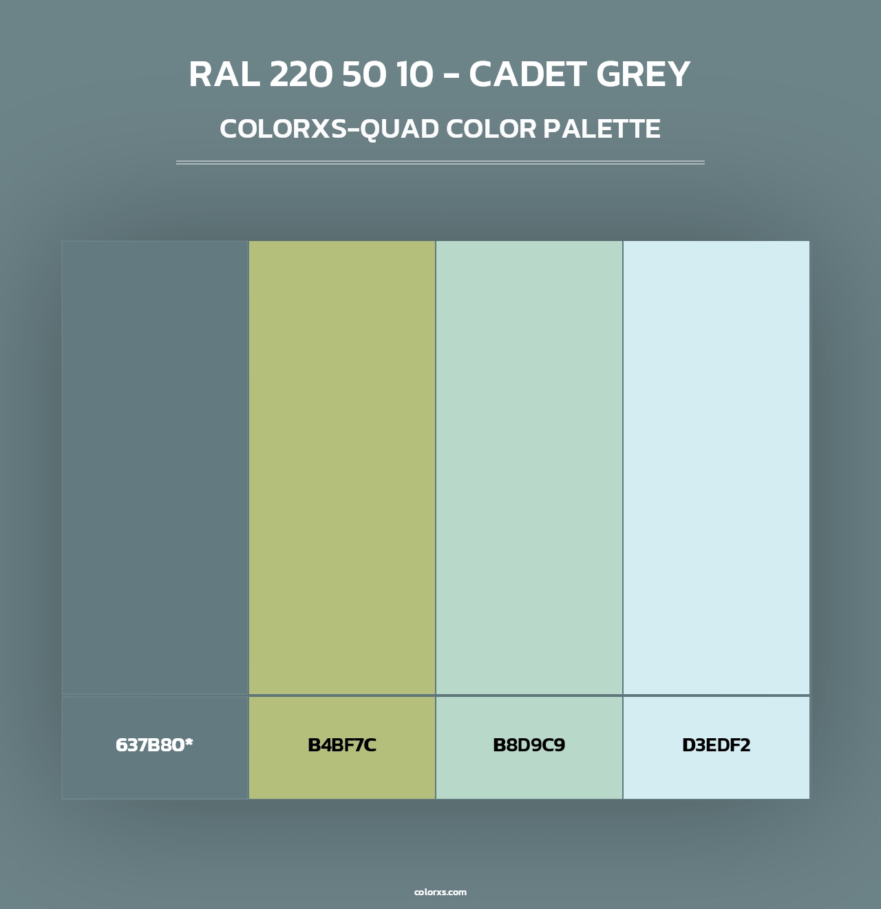 RAL 220 50 10 - Cadet Grey - Colorxs Quad Palette