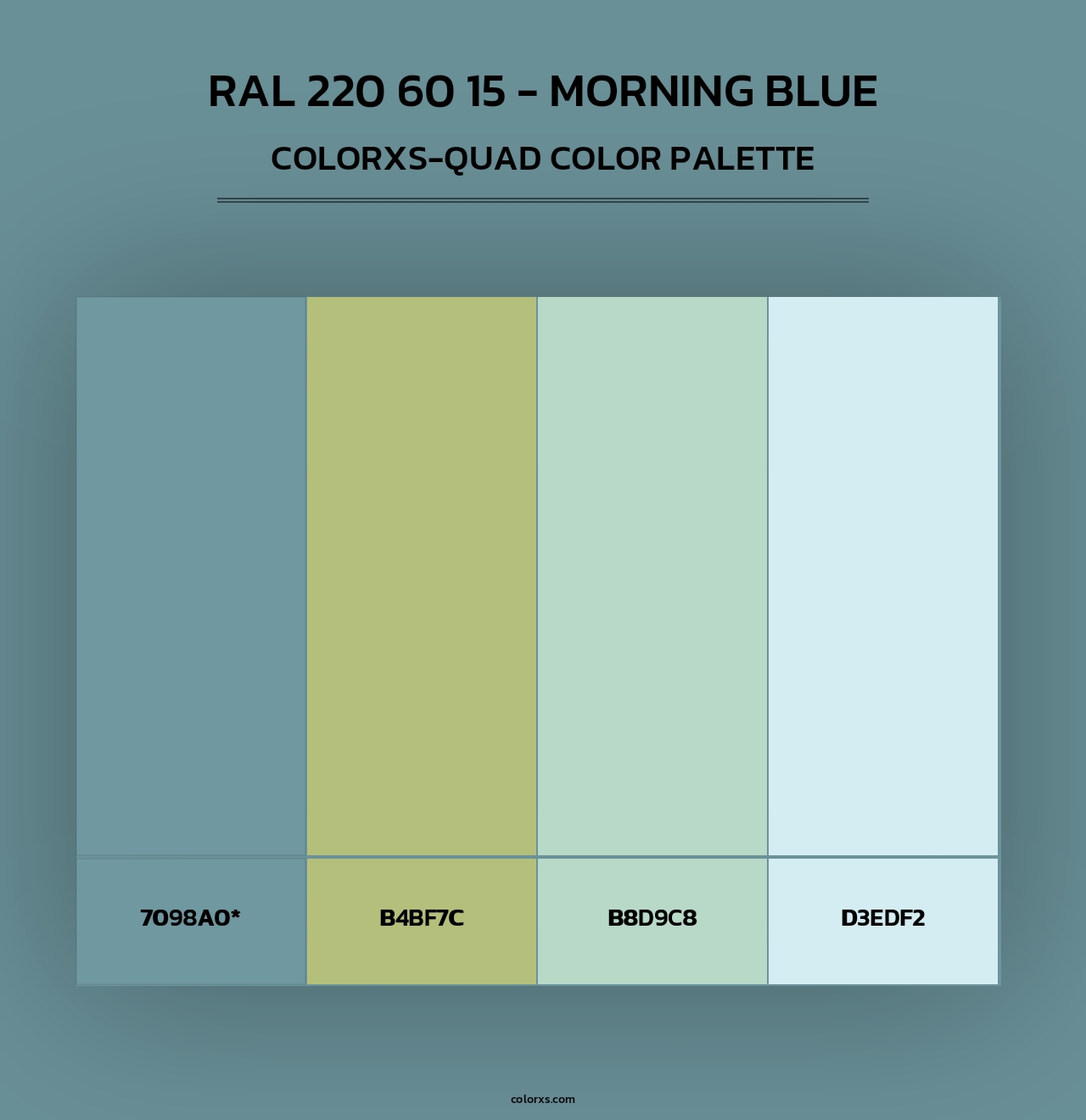 RAL 220 60 15 - Morning Blue - Colorxs Quad Palette