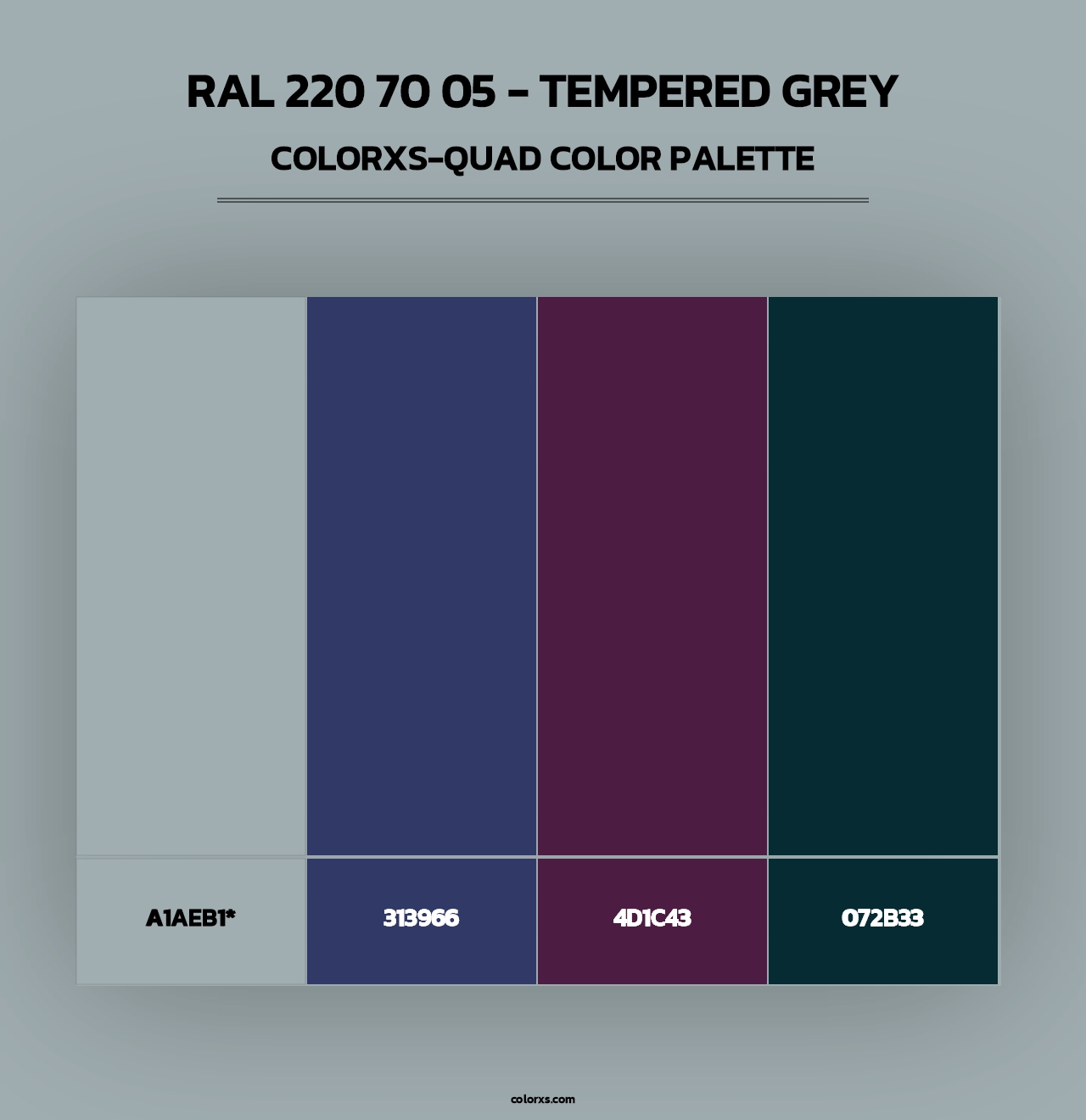 RAL 220 70 05 - Tempered Grey - Colorxs Quad Palette