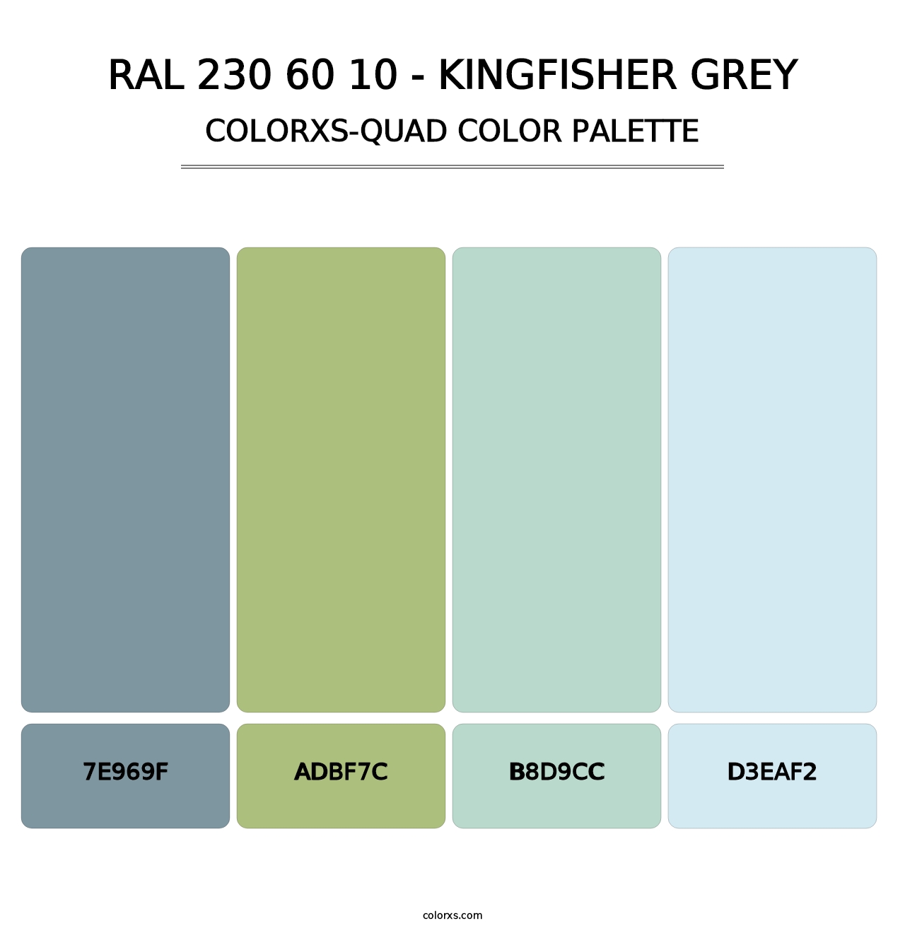 RAL 230 60 10 - Kingfisher Grey - Colorxs Quad Palette
