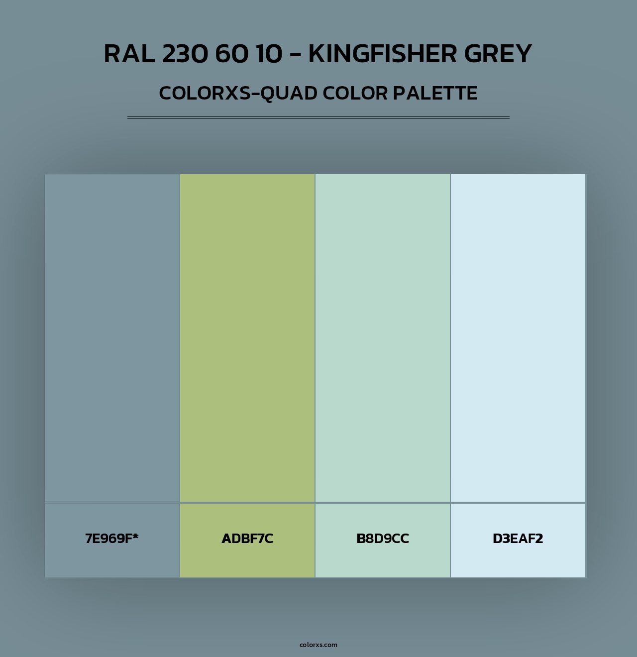 RAL 230 60 10 - Kingfisher Grey - Colorxs Quad Palette