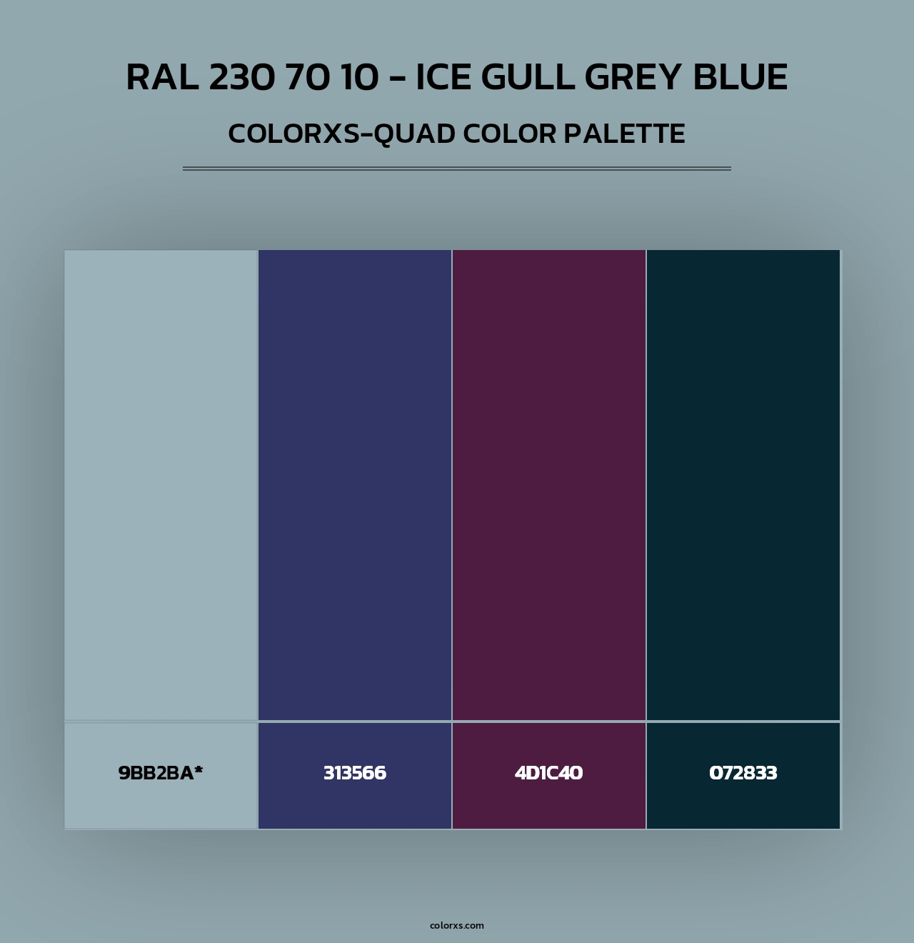 RAL 230 70 10 - Ice Gull Grey Blue - Colorxs Quad Palette