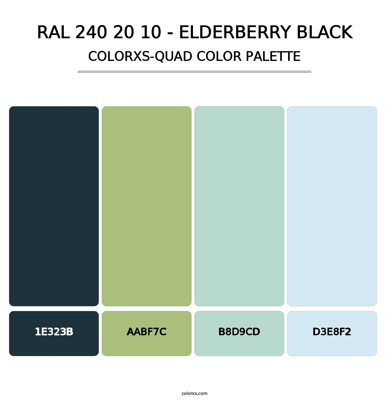RAL 240 20 10 - Elderberry Black - Colorxs Quad Palette