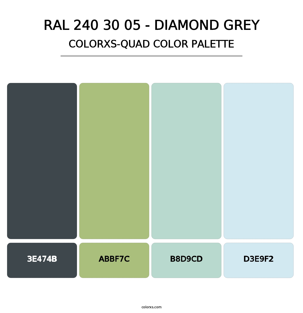 RAL 240 30 05 - Diamond Grey - Colorxs Quad Palette