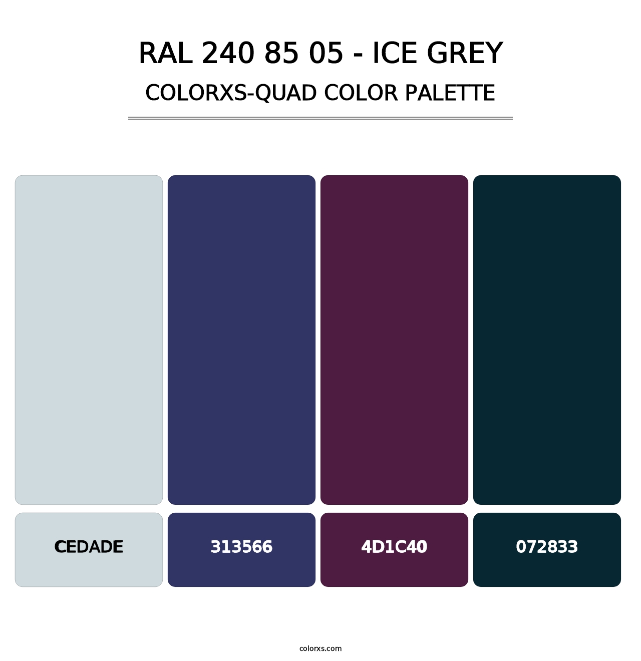 RAL 240 85 05 - Ice Grey - Colorxs Quad Palette