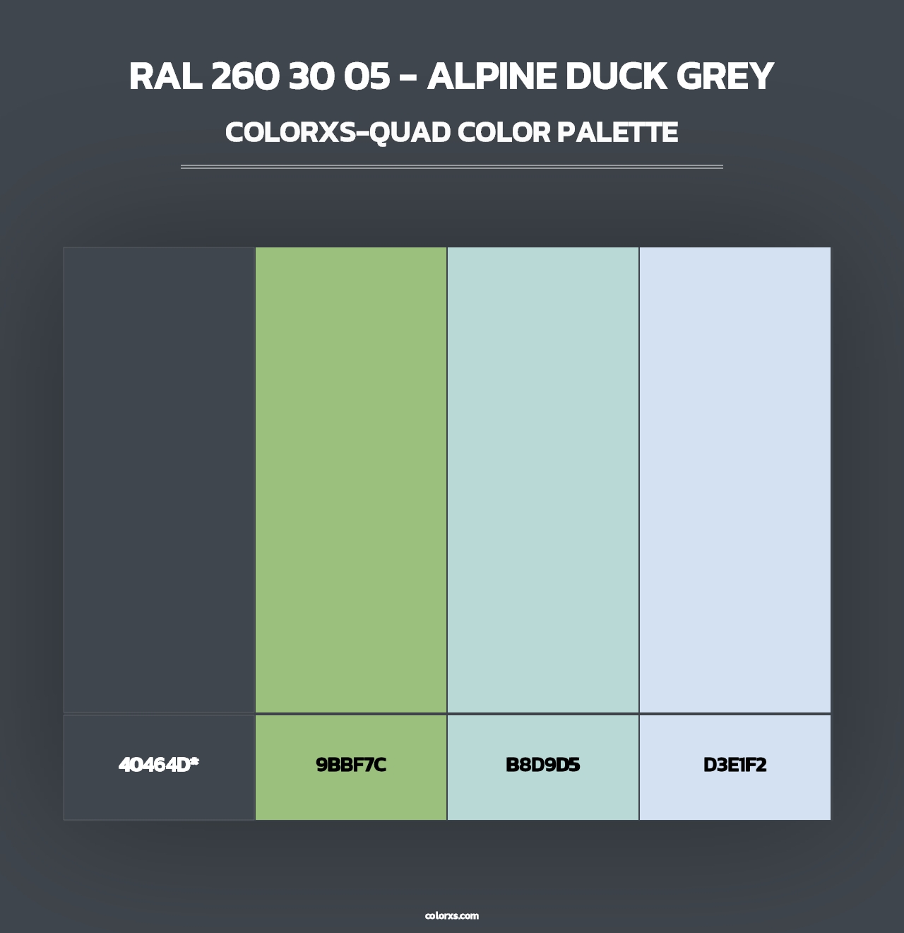 RAL 260 30 05 - Alpine Duck Grey - Colorxs Quad Palette