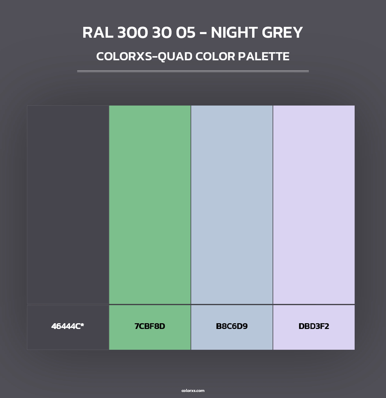 RAL 300 30 05 - Night Grey - Colorxs Quad Palette