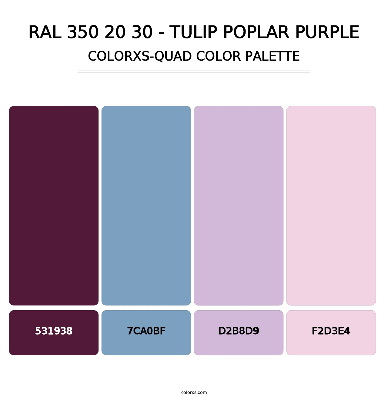 RAL 350 20 30 - Tulip Poplar Purple - Colorxs Quad Palette