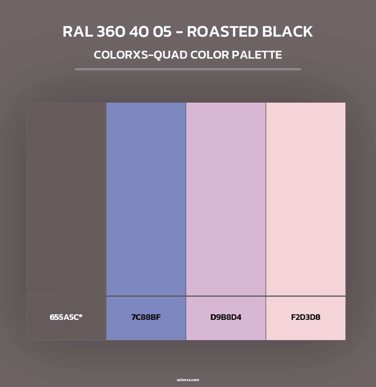 RAL 360 40 05 - Roasted Black - Colorxs Quad Palette