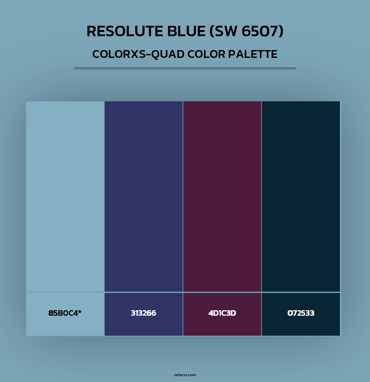 Resolute Blue (SW 6507) - Colorxs Quad Palette