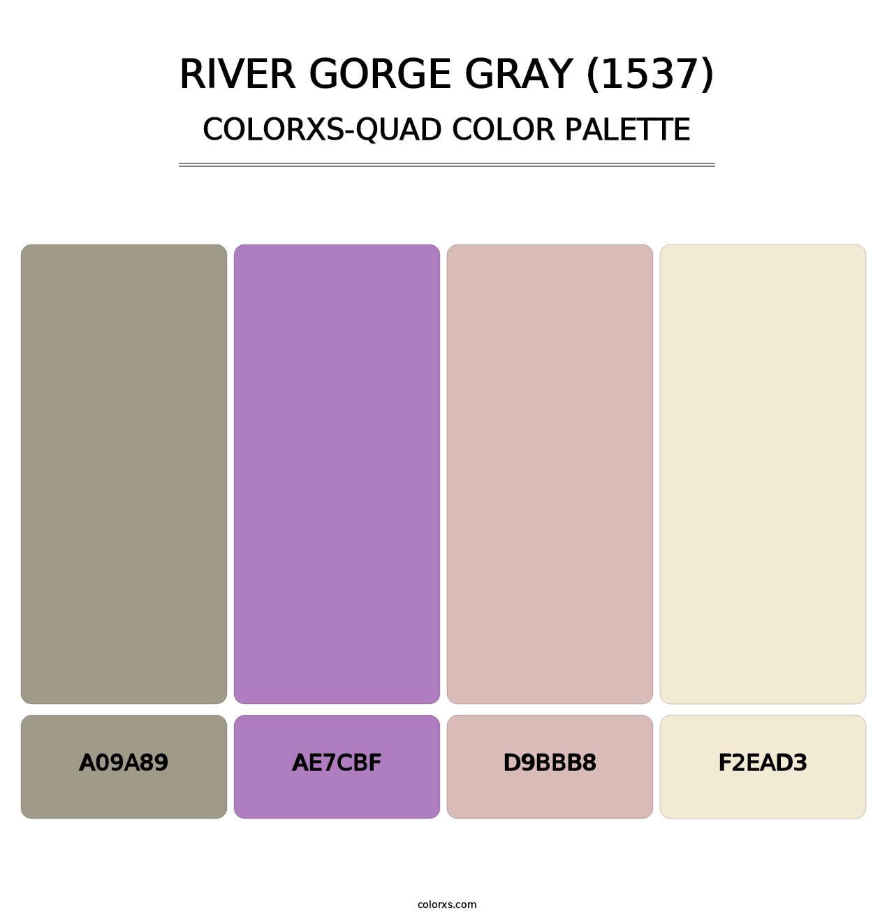 River Gorge Gray (1537) - Colorxs Quad Palette