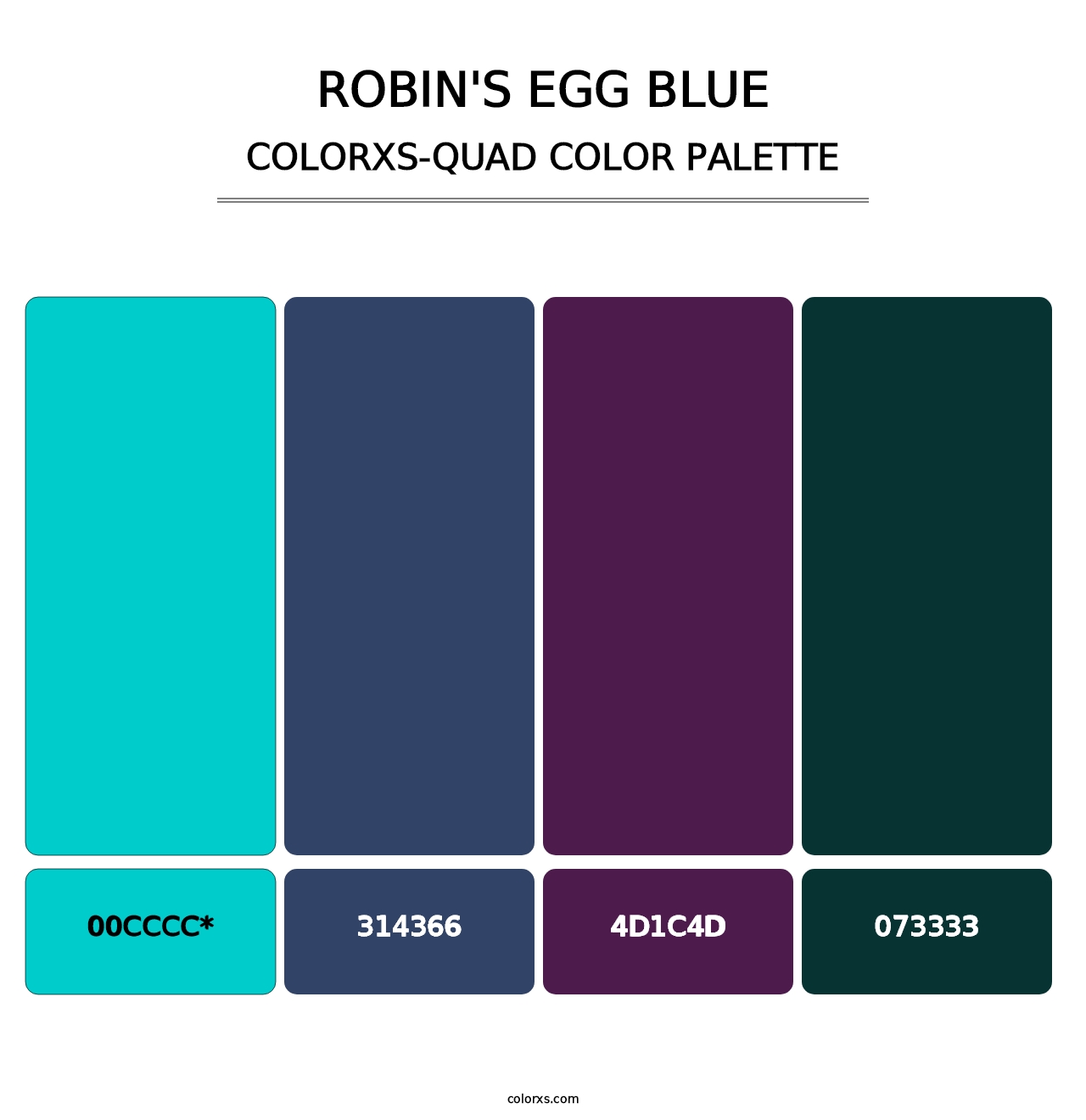 Robin's Egg Blue - Colorxs Quad Palette