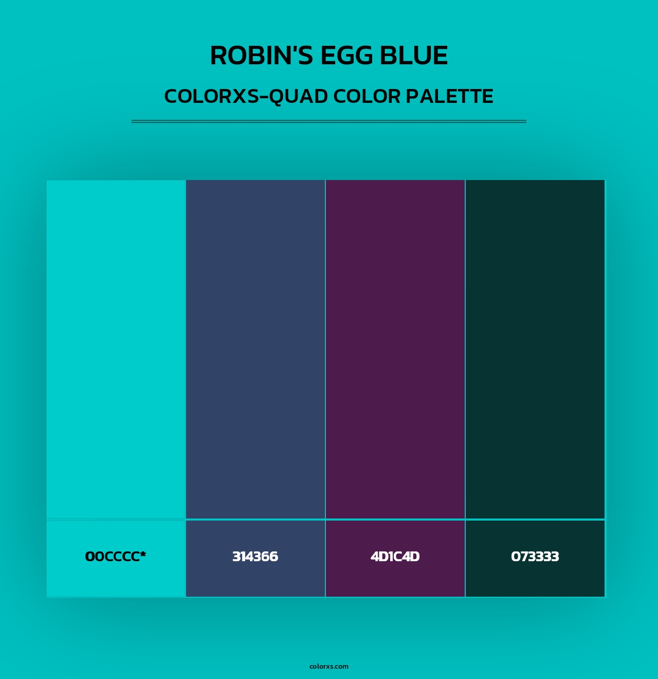 Robin's Egg Blue - Colorxs Quad Palette
