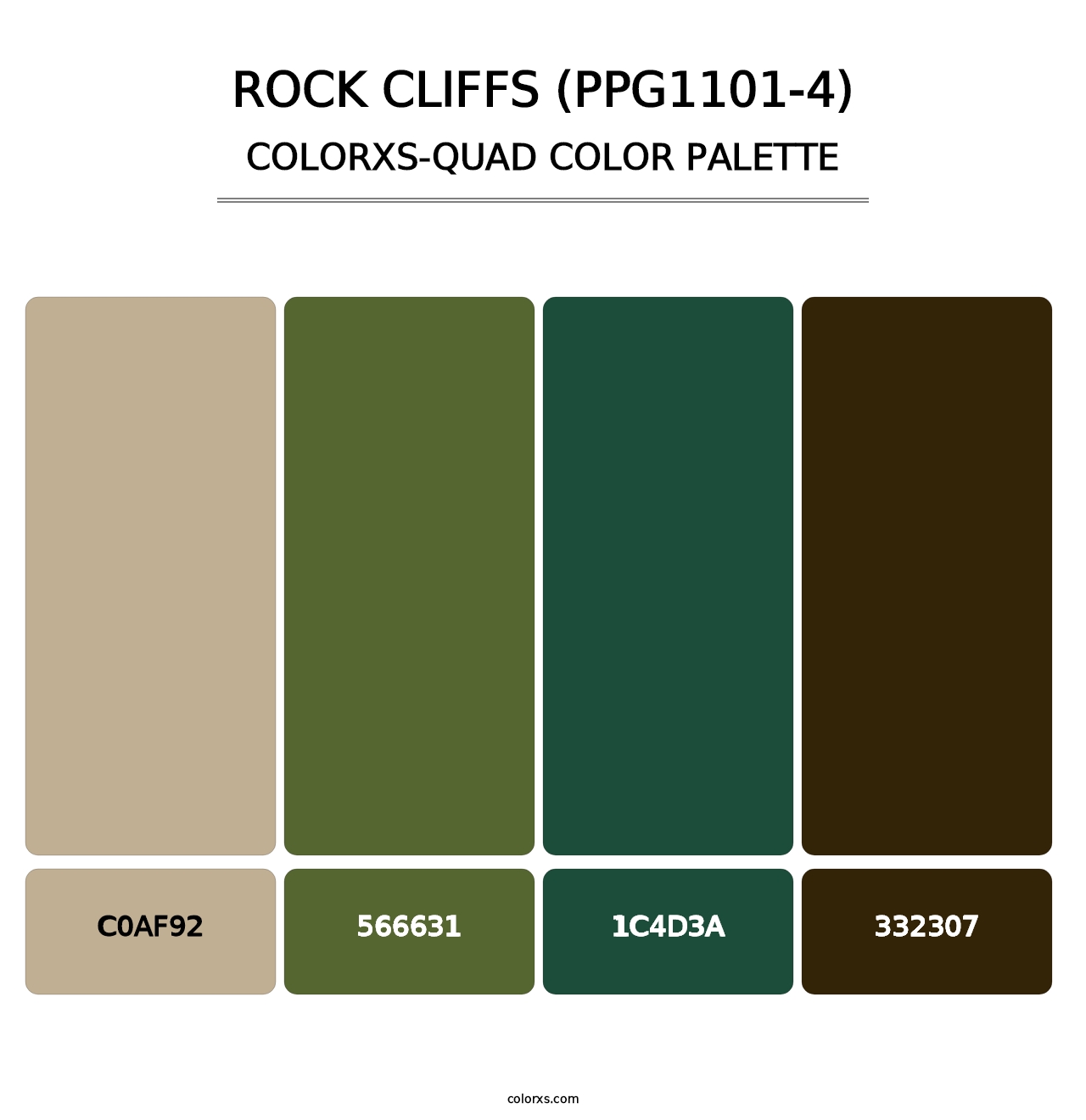 Rock Cliffs (PPG1101-4) - Colorxs Quad Palette