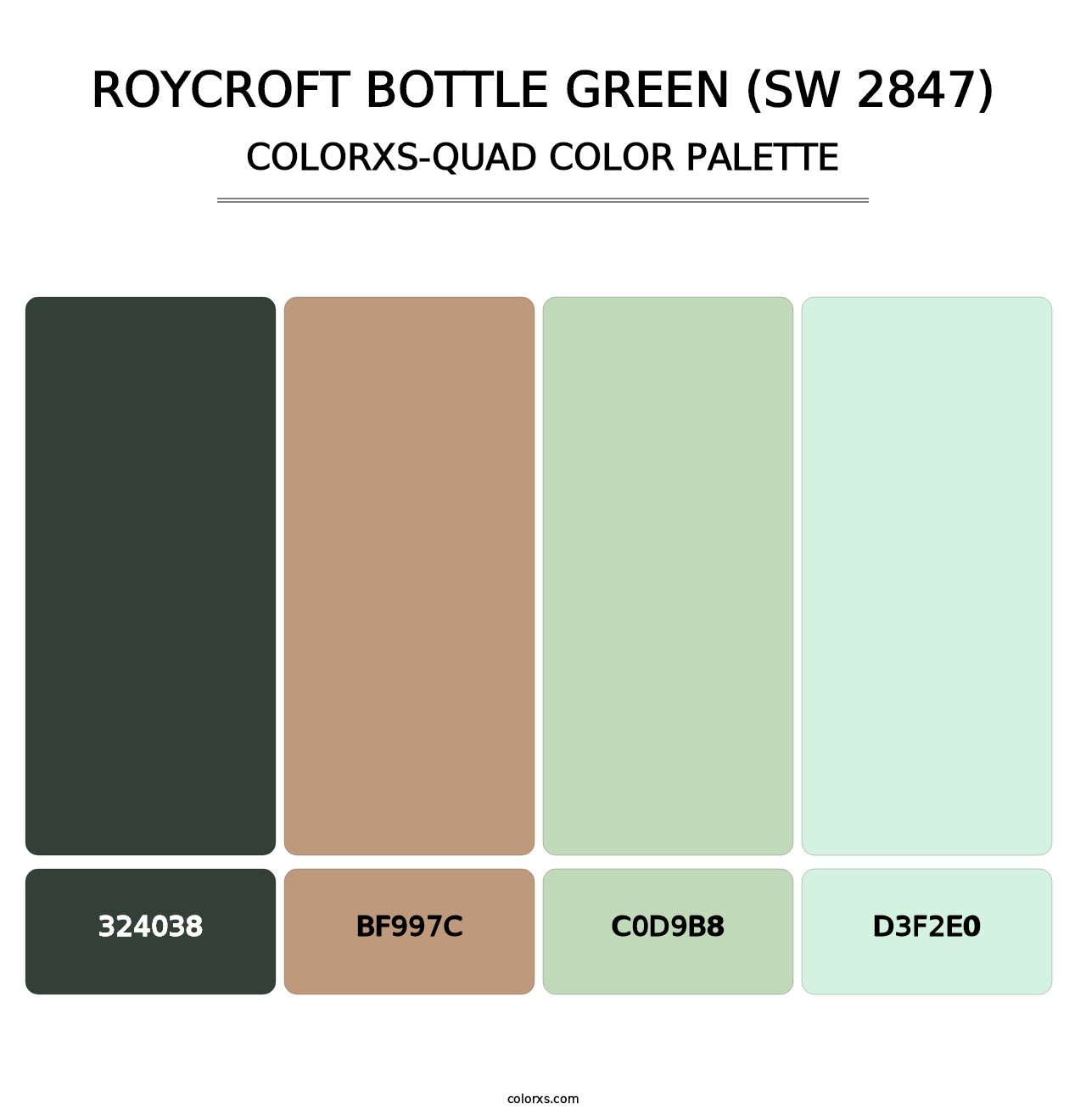 Roycroft Bottle Green (SW 2847) - Colorxs Quad Palette