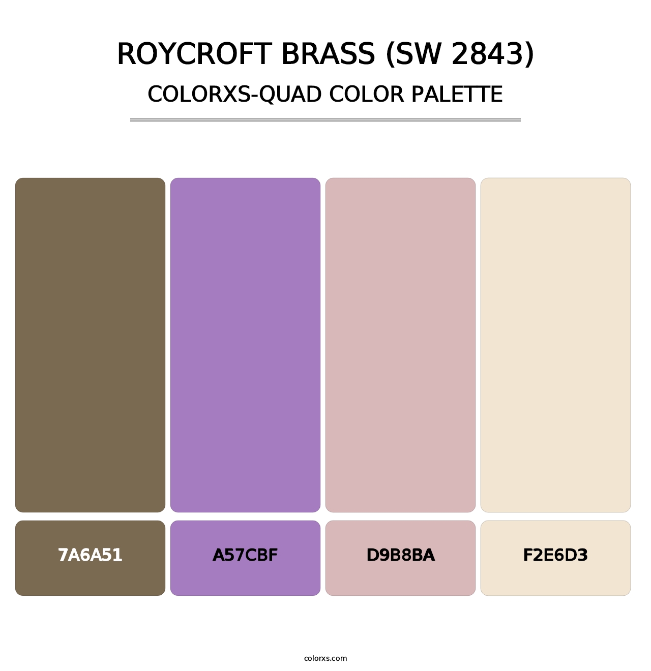 Roycroft Brass (SW 2843) - Colorxs Quad Palette