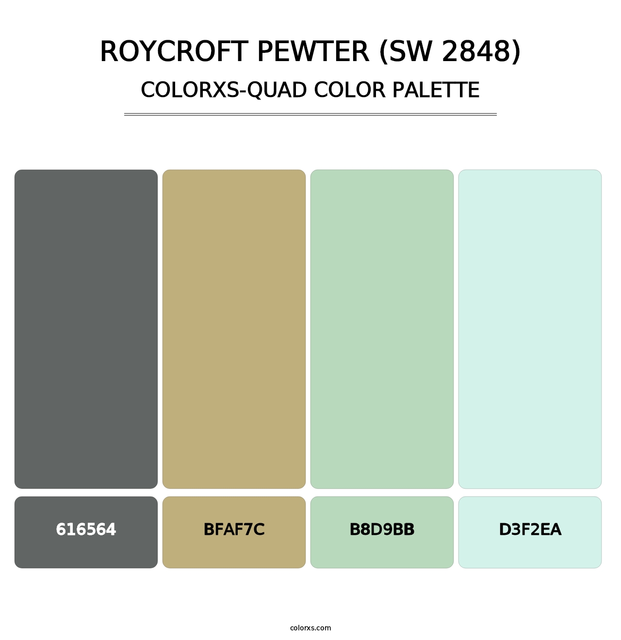 Roycroft Pewter (SW 2848) - Colorxs Quad Palette