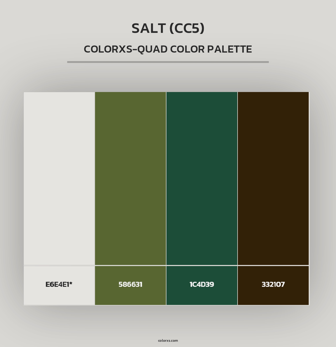 Salt (CC5) - Colorxs Quad Palette