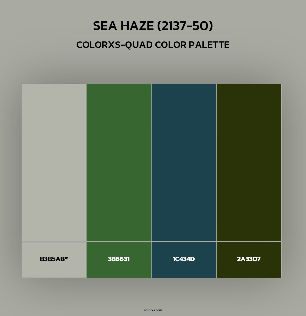 Sea Haze (2137-50) - Colorxs Quad Palette