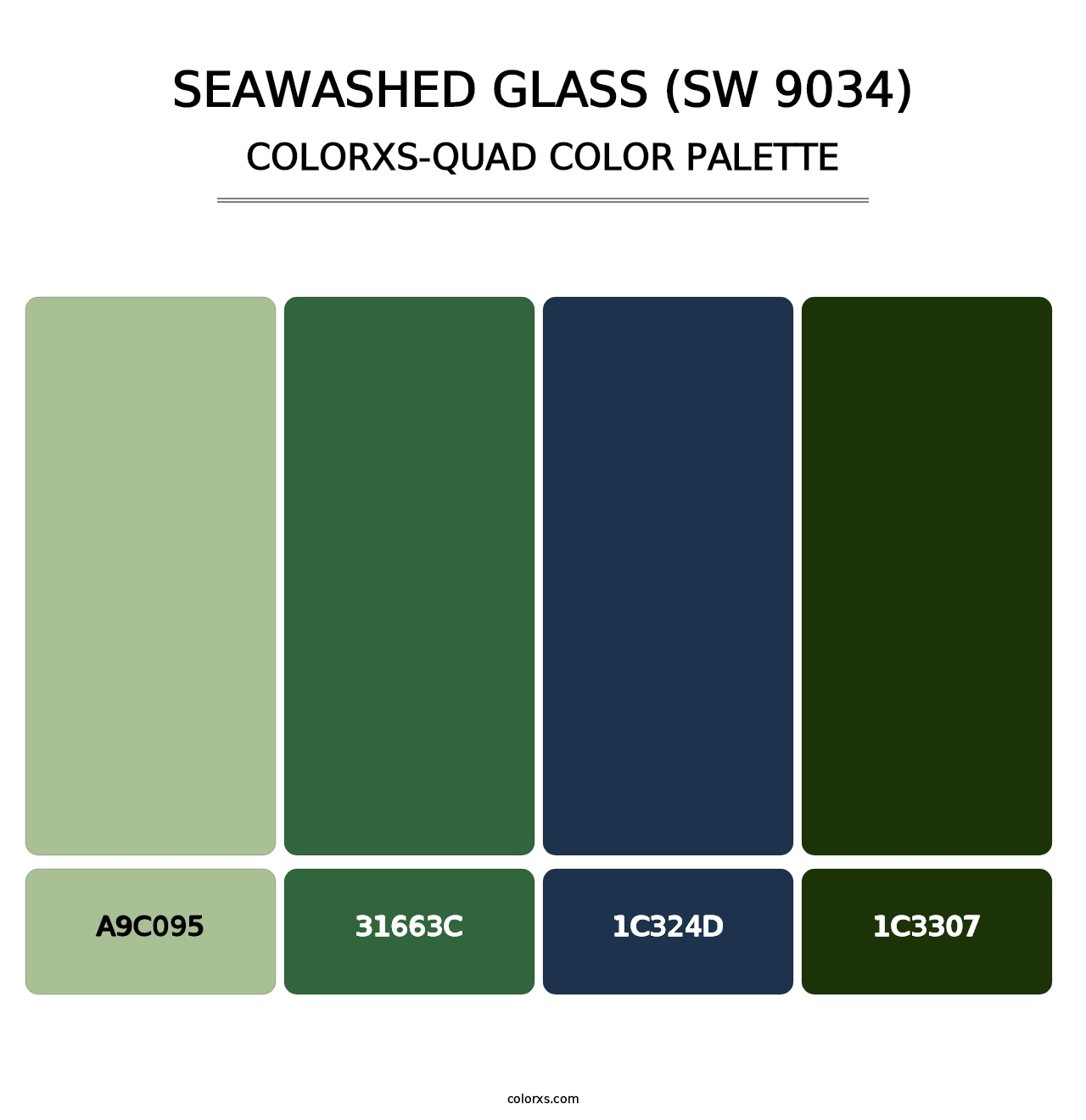 Seawashed Glass (SW 9034) - Colorxs Quad Palette