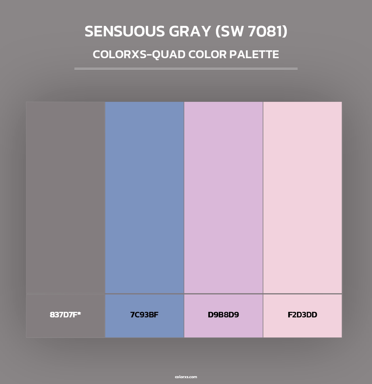 Sensuous Gray (SW 7081) - Colorxs Quad Palette