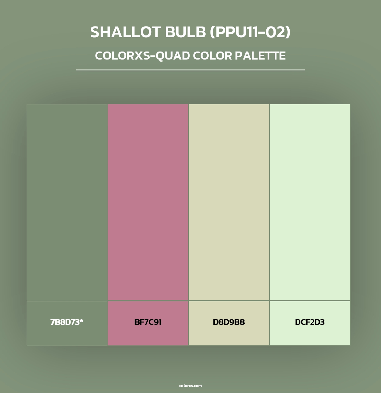 Shallot Bulb (PPU11-02) - Colorxs Quad Palette