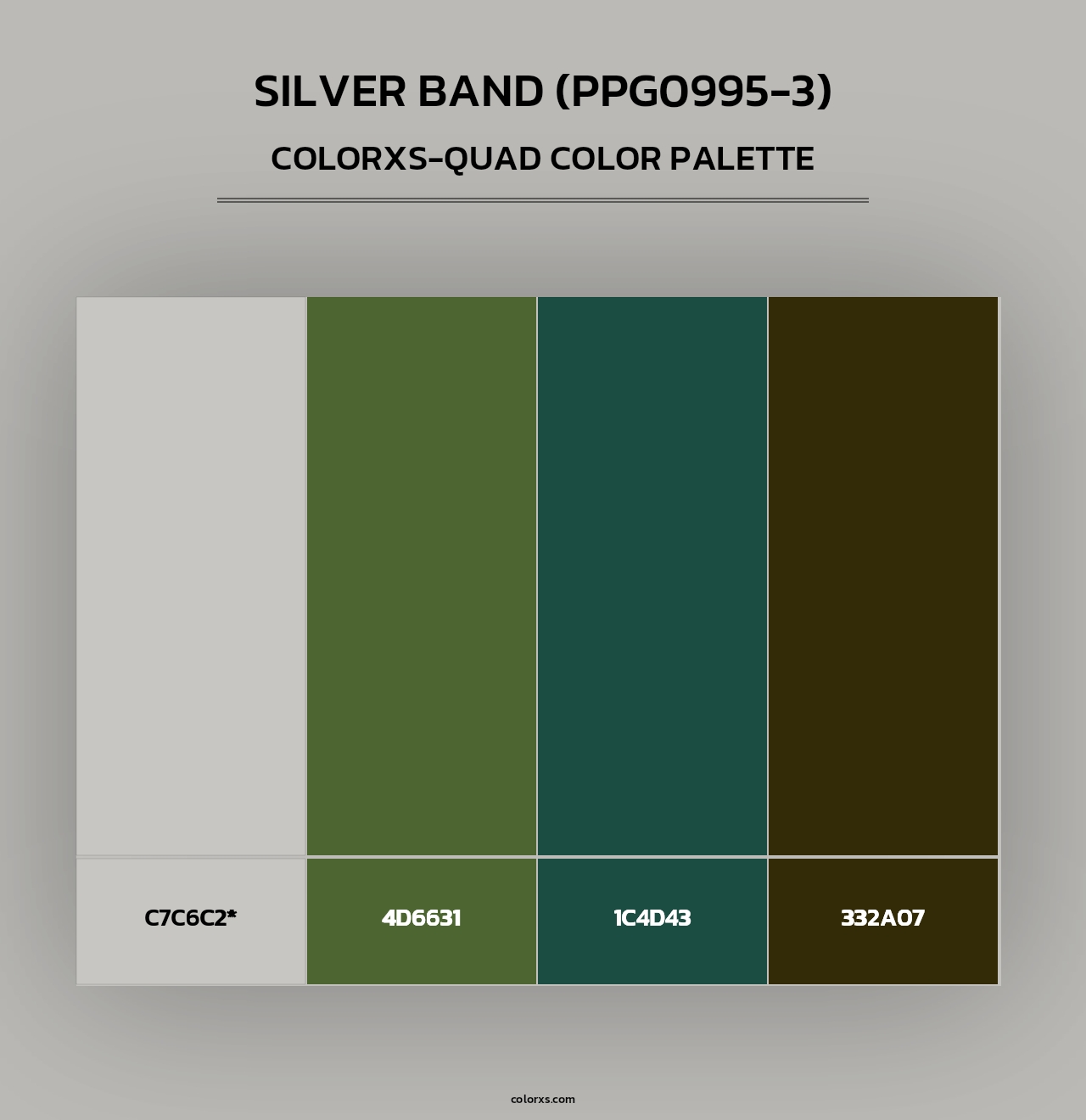 Silver Band (PPG0995-3) - Colorxs Quad Palette