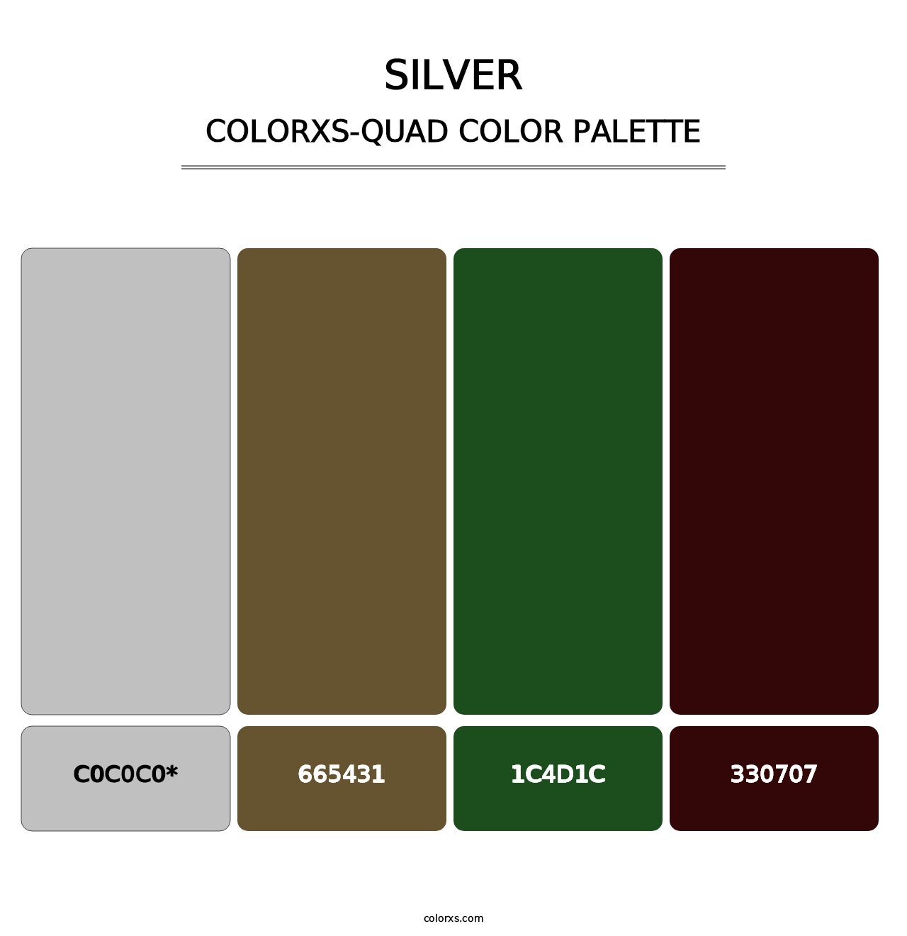Silver - Colorxs Quad Palette