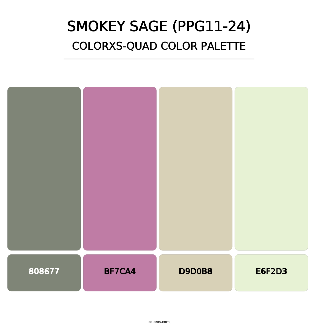 Smokey Sage (PPG11-24) - Colorxs Quad Palette
