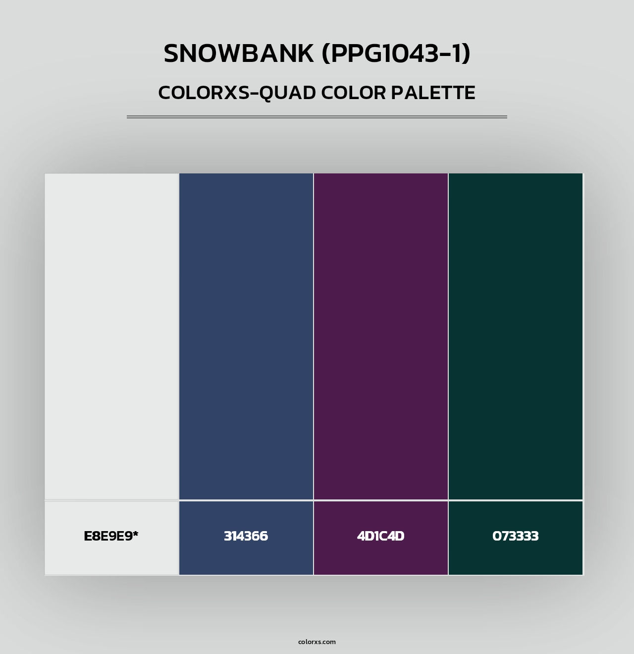 Snowbank (PPG1043-1) - Colorxs Quad Palette