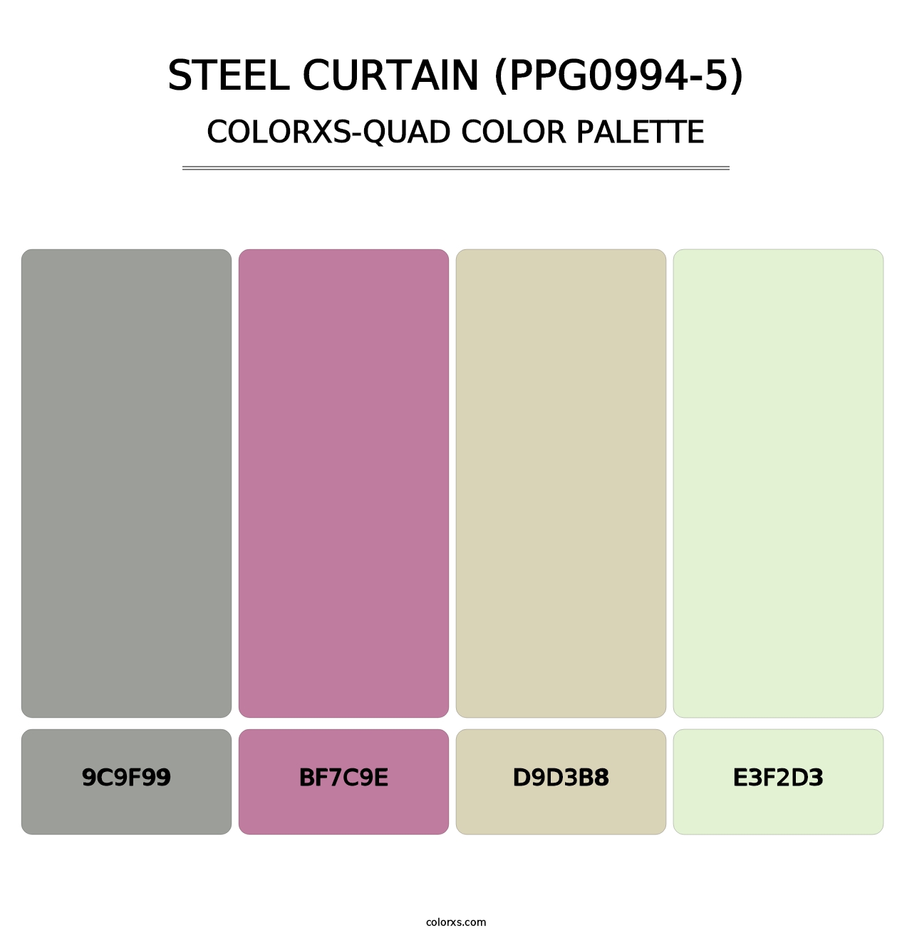 Steel Curtain (PPG0994-5) - Colorxs Quad Palette