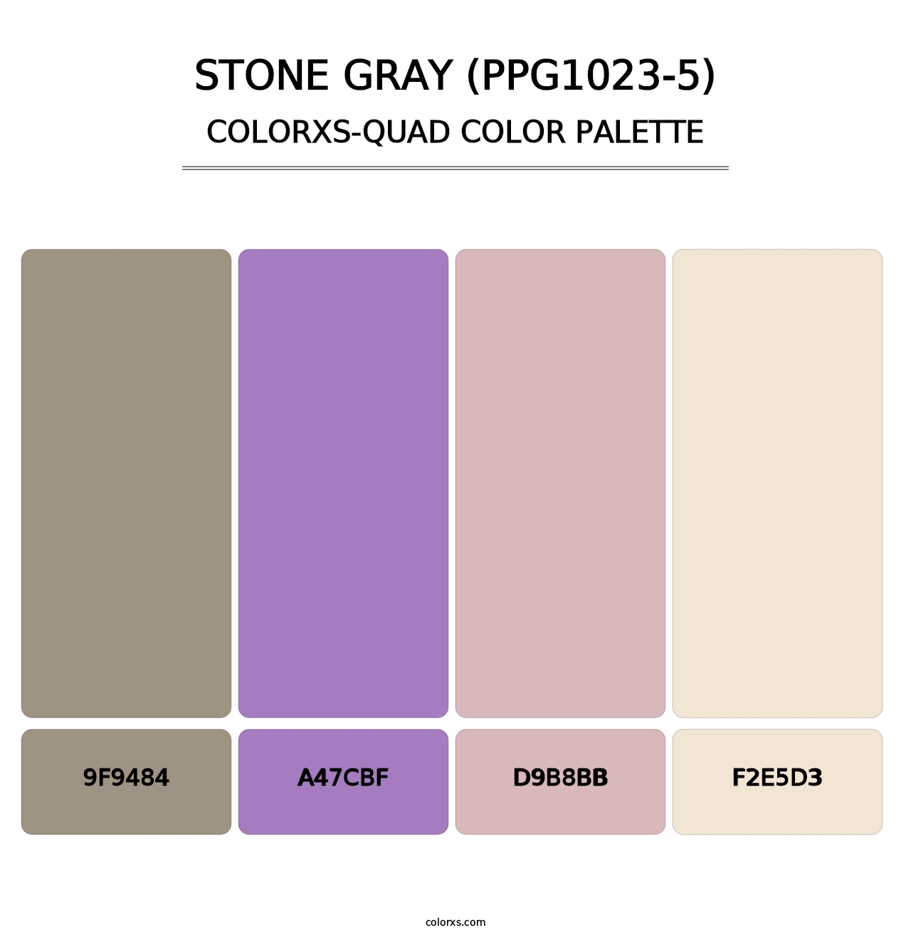 Stone Gray (PPG1023-5) - Colorxs Quad Palette