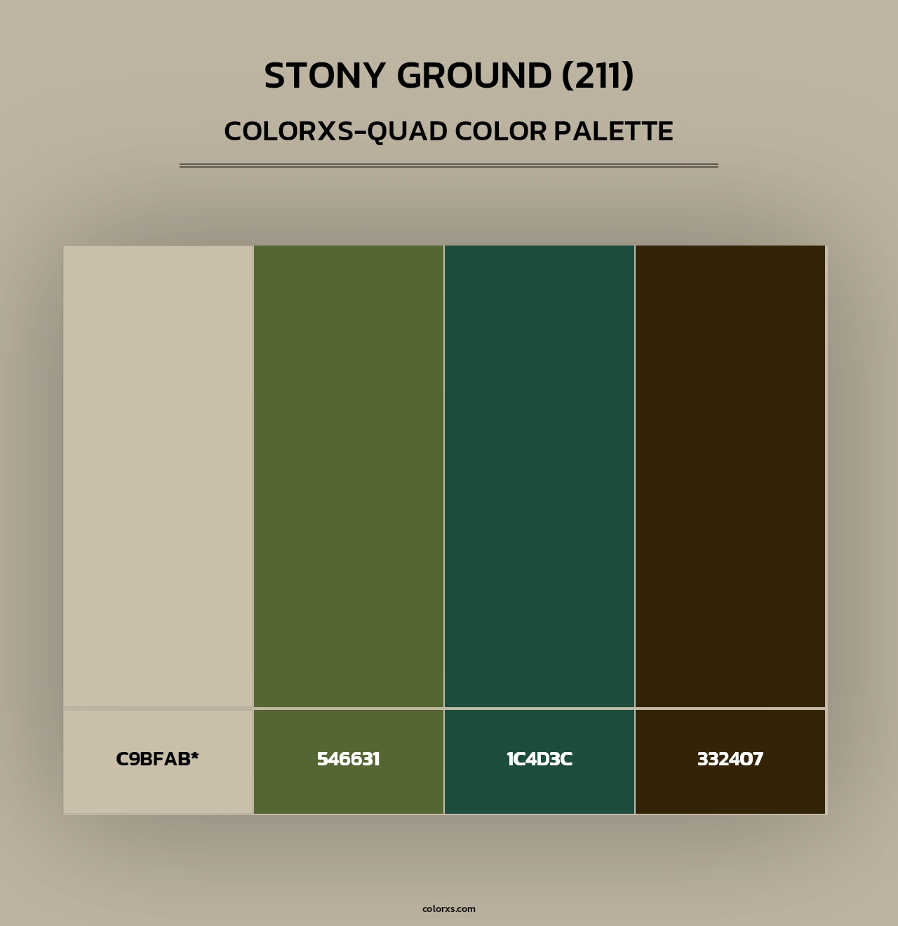 Stony Ground (211) - Colorxs Quad Palette