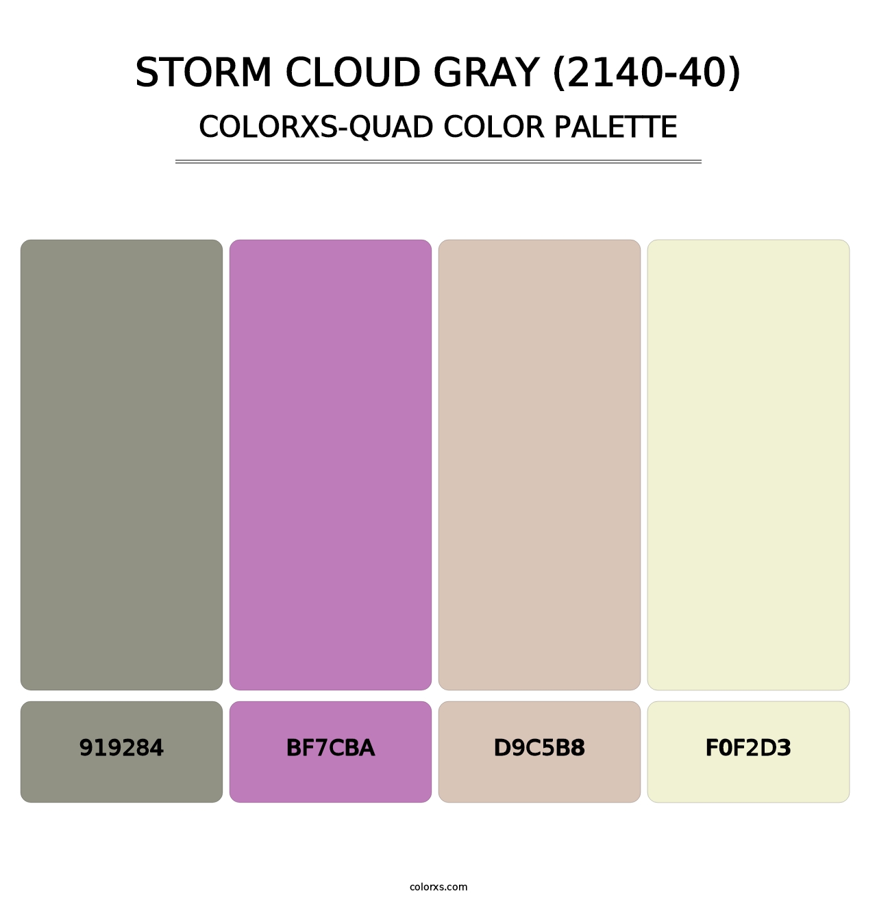 Storm Cloud Gray (2140-40) - Colorxs Quad Palette