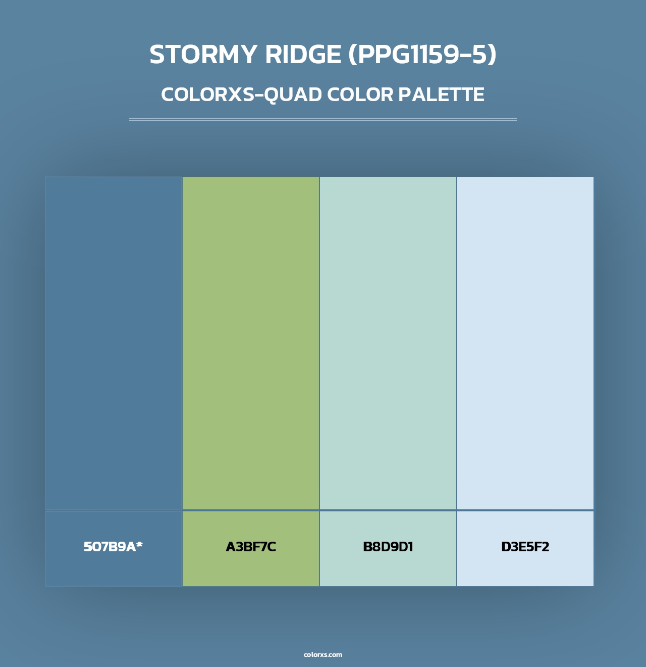 Stormy Ridge (PPG1159-5) - Colorxs Quad Palette