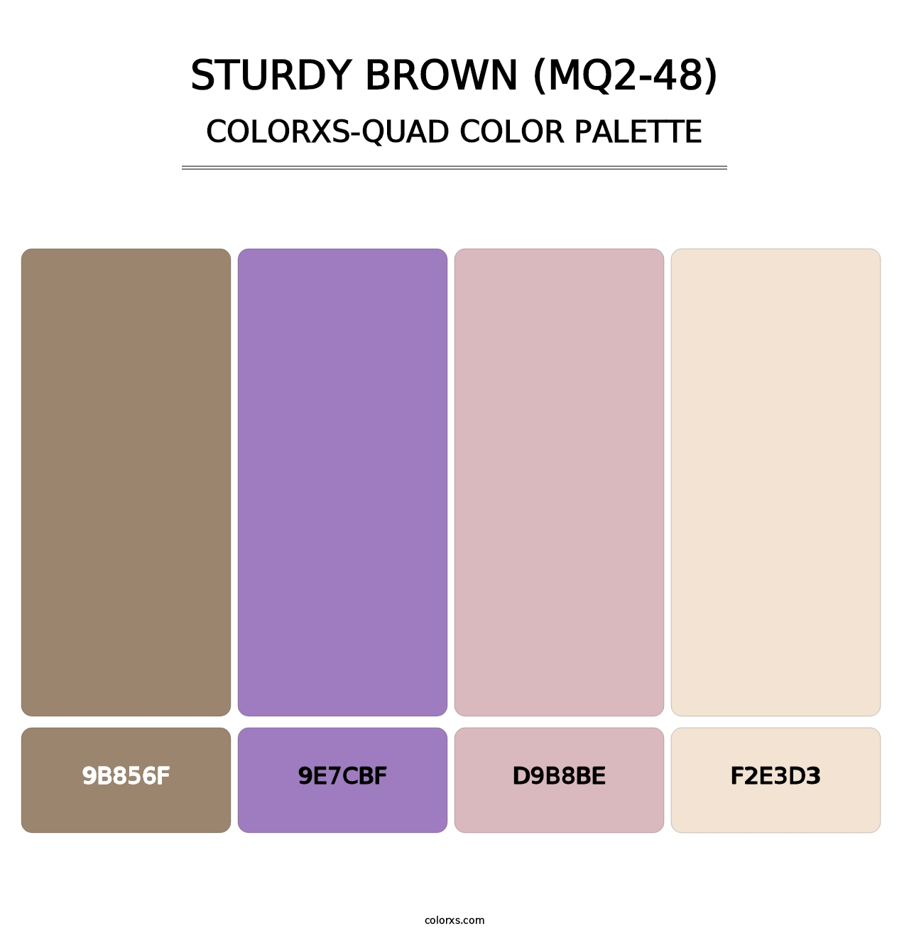 Sturdy Brown (MQ2-48) - Colorxs Quad Palette